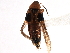  ( - CCDB-22987-G06)  @11 [ ] CreativeCommons - Attribution (2015) CBG Photography Group Centre for Biodiversity Genomics