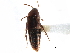  ( - CCDB-22987-H10)  @14 [ ] CreativeCommons - Attribution (2015) CBG Photography Group Centre for Biodiversity Genomics