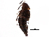  ( - CCDB-22988-B07)  @11 [ ] CreativeCommons - Attribution (2015) CBG Photography Group Centre for Biodiversity Genomics