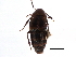  ( - CCDB-22988-B09)  @11 [ ] CreativeCommons - Attribution (2015) CBG Photography Group Centre for Biodiversity Genomics