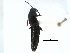  ( - CCDB-23049-D09)  @11 [ ] CreativeCommons - Attribution (2015) CBG Photography Group Centre for Biodiversity Genomics