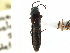  ( - CCDB-23049-D11)  @11 [ ] CreativeCommons - Attribution (2015) CBG Photography Group Centre for Biodiversity Genomics
