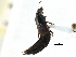  ( - CCDB-23049-D12)  @11 [ ] CreativeCommons - Attribution (2015) CBG Photography Group Centre for Biodiversity Genomics