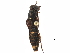  (Staphylinus pleuralis - CCDB-23049-G02)  @11 [ ] CreativeCommons - Attribution (2015) CBG Photography Group Centre for Biodiversity Genomics