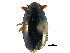  ( - CCDB-23050-B04)  @11 [ ] CreativeCommons - Attribution (2015) CBG Photography Group Centre for Biodiversity Genomics