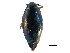  ( - CCDB-23050-B07)  @11 [ ] CreativeCommons - Attribution (2015) CBG Photography Group Centre for Biodiversity Genomics