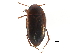 ( - CCDB-23053-B06)  @15 [ ] CreativeCommons - Attribution (2015) CBG Photography Group Centre for Biodiversity Genomics