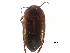  ( - CCDB-23053-B07)  @14 [ ] CreativeCommons - Attribution (2015) CBG Photography Group Centre for Biodiversity Genomics