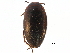  ( - CCDB-23053-C03)  @11 [ ] CreativeCommons - Attribution (2015) CBG Photography Group Centre for Biodiversity Genomics