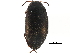  ( - CCDB-23053-E05)  @11 [ ] CreativeCommons - Attribution (2015) CBG Photography Group Centre for Biodiversity Genomics