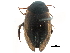 ( - CCDB-23054-B01)  @13 [ ] CreativeCommons - Attribution (2015) CBG Photography Group Centre for Biodiversity Genomics