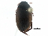  ( - CCDB-23054-B04)  @13 [ ] CreativeCommons - Attribution (2015) CBG Photography Group Centre for Biodiversity Genomics