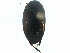  ( - CCDB-23054-B09)  @12 [ ] CreativeCommons - Attribution (2015) CBG Photography Group Centre for Biodiversity Genomics