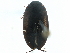  ( - CCDB-23054-B10)  @12 [ ] CreativeCommons - Attribution (2015) CBG Photography Group Centre for Biodiversity Genomics