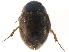  ( - CCDB-23054-G10)  @11 [ ] CreativeCommons - Attribution (2015) CBG Photography Group Centre for Biodiversity Genomics