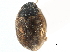  ( - CCDB-23054-H02)  @11 [ ] CreativeCommons - Attribution (2015) CBG Photography Group Centre for Biodiversity Genomics
