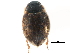  ( - CCDB-23054-H03)  @11 [ ] CreativeCommons - Attribution (2015) CBG Photography Group Centre for Biodiversity Genomics