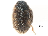  ( - CCDB-23054-H04)  @11 [ ] CreativeCommons - Attribution (2015) CBG Photography Group Centre for Biodiversity Genomics