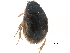  ( - CCDB-23054-H09)  @13 [ ] CreativeCommons - Attribution (2015) CBG Photography Group Centre for Biodiversity Genomics