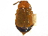  ( - CCDB-23056-D03)  @11 [ ] CreativeCommons - Attribution (2015) CBG Photography Group Centre for Biodiversity Genomics