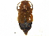  ( - CCDB-23056-D04)  @11 [ ] CreativeCommons - Attribution (2015) CBG Photography Group Centre for Biodiversity Genomics