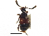  ( - CCDB-23056-E08)  @11 [ ] CreativeCommons - Attribution (2015) CBG Photography Group Centre for Biodiversity Genomics