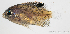  ( - M0101_102)  @14 [ ] Copyright (2015) Henitsoa JAONALISON IH.SM