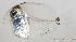  ( - M0202_021)  @14 [ ] Copyright (2015) Henitsoa JAONALISON IH.SM