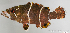  ( - M0202_271)  @11 [ ] Copyright (2015) Henitsoa JAONALISON IH.SM