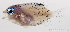  ( - M0202_341)  @14 [ ] Copyright (2015) Henitsoa JAONALISON IH.SM