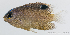  ( - M0203_211)  @14 [ ] Copyright (2015) Henitsoa JAONALISON, IH.SM IRD