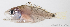  ( - M0301_251)  @14 [ ] Copyright (2015) Henitsoa JAONALISON IH.SM