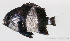  ( - M0302_441)  @14 [ ] Copyright (2015) Henitsoa JAONALISON, IH.SM IRD