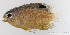  ( - M0302_501)  @11 [ ] Copyright (2015) Henitsoa JAONALISON, IH.SM IRD