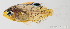  ( - M0303_141)  @14 [ ] Copyright (2015) Henitsoa JAONALISON IH.SM