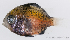  ( - M0401_201)  @14 [ ] Copyright (2015) Henitsoa JAONALISON IH.SM