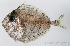  ( - M0401_261)  @11 [ ] Copyright (2015) Henitsoa JAONALISON IH.SM