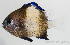  ( - M0401_471)  @11 [ ] Copyright (2015) Henitsoa JAONALISON, IH.SM IRD