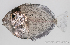  ( - M0502_111)  @14 [ ] Copyright (2015) Henitsoa JAONALISON IH.SM