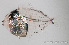 ( - M0601_021)  @14 [ ] Copyright (2015) Henitsoa JAONALISON IH.SM