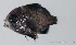  ( - M0603_051)  @14 [ ] Copyright (2015) Henitsoa JAONALISON IH.SM