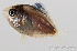  ( - R0101_071)  @14 [ ] Copyright (2015) Adeline COLLET, OCEA Consult IRD