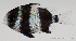  ( - R0201_191)  @14 [ ] Copyright (2015) Adeline COLLET, OCEA Consult IRD