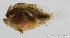  ( - R0201_271)  @11 [ ] Copyright (2015) Adeline COLLET OCEA Consult