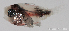  ( - R0201_281)  @14 [ ] Copyright (2015) Adeline COLLET, OCEA Consult IRD