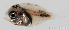  ( - R0301_171)  @14 [ ] Copyright (2015) Adeline COLLET, OCEA Consult IRD