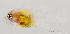  ( - R0501_241)  @14 [ ] Copyright (2015) Adeline COLLET, OCEA Consult IRD