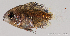  ( - R0501_282)  @11 [ ] Copyright (2015) Adeline COLLET, OCEA Consult IRD