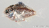 ( - R0501_331)  @14 [ ] Copyright (2015) Adeline COLLET, OCEA Consult IRD