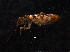  ( - 13885D11_MAR00)  @14 [ ] Unspecified (default): All Rights Reserved (2012) Copyright CIB, Stellenbosch University